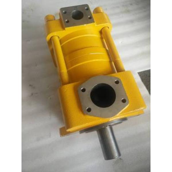 pump QT23 Series Gear Pump QT23-4L-A #1 image